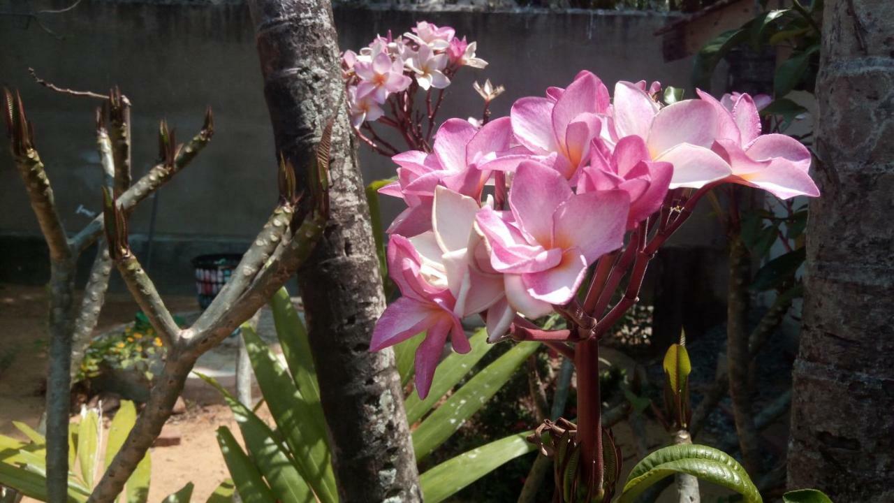 Sampathaa Residence Negombo Room photo